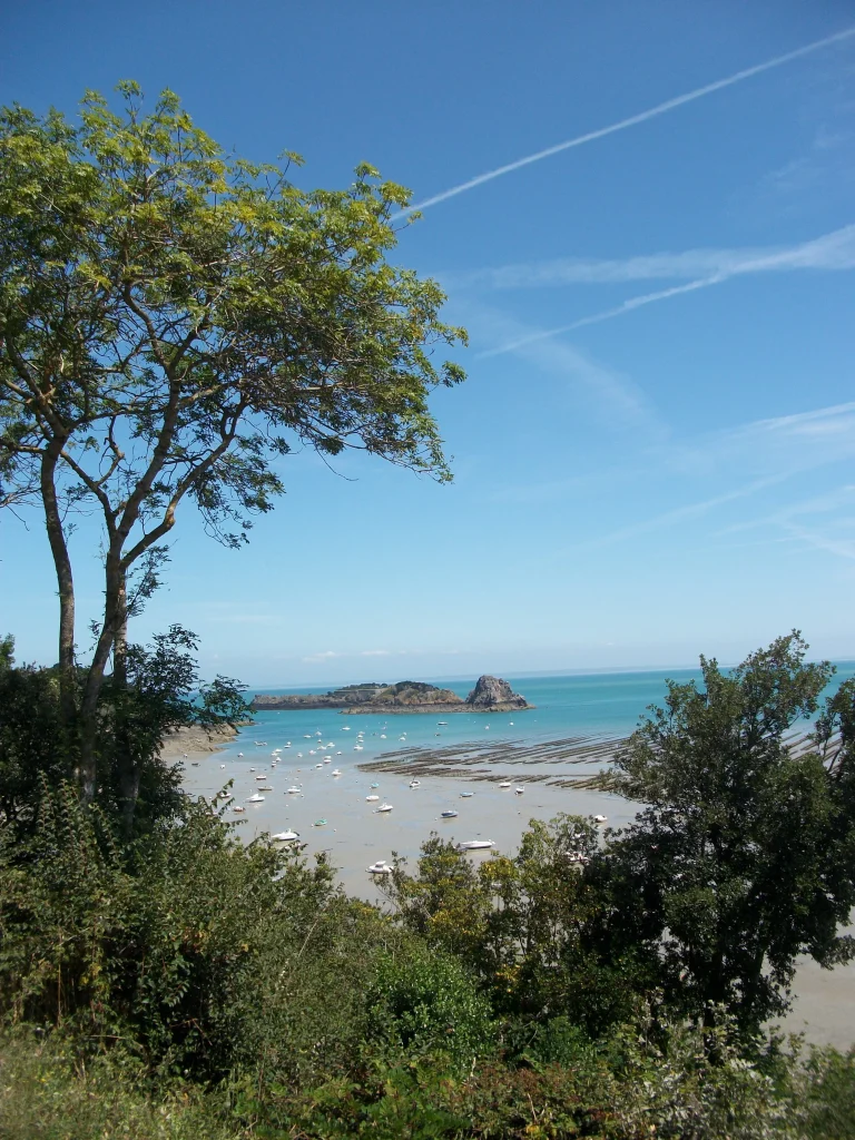 parc à huitres de Cancale