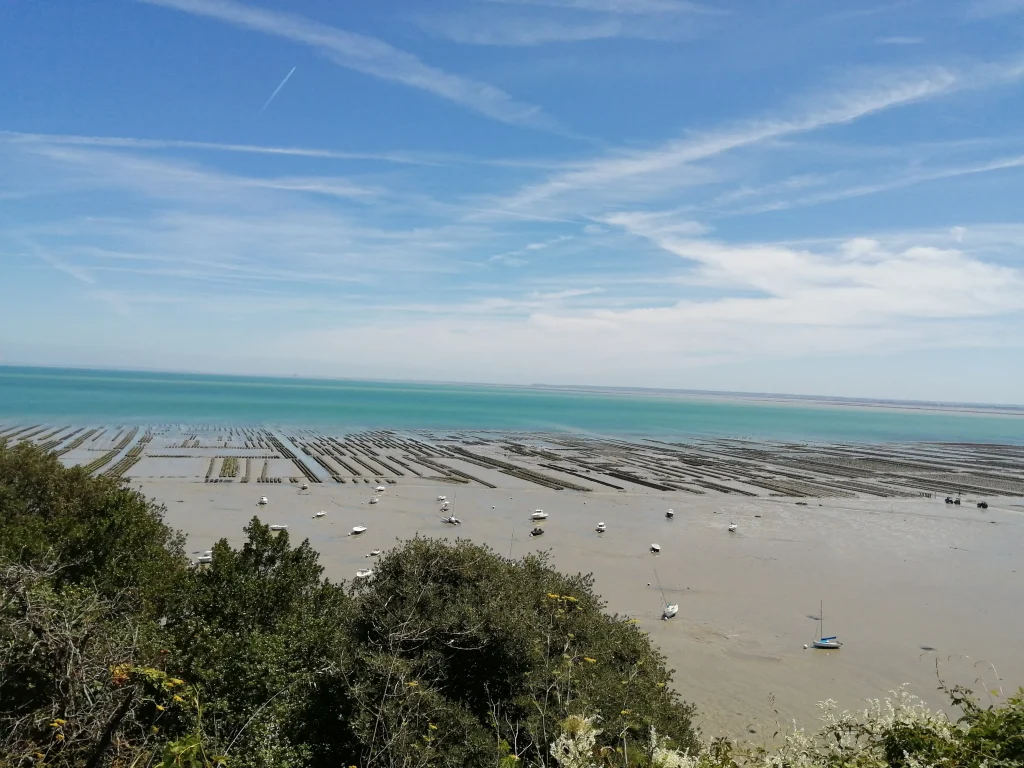parc à huitre