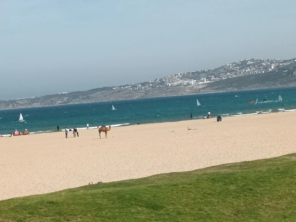 plage de tanger