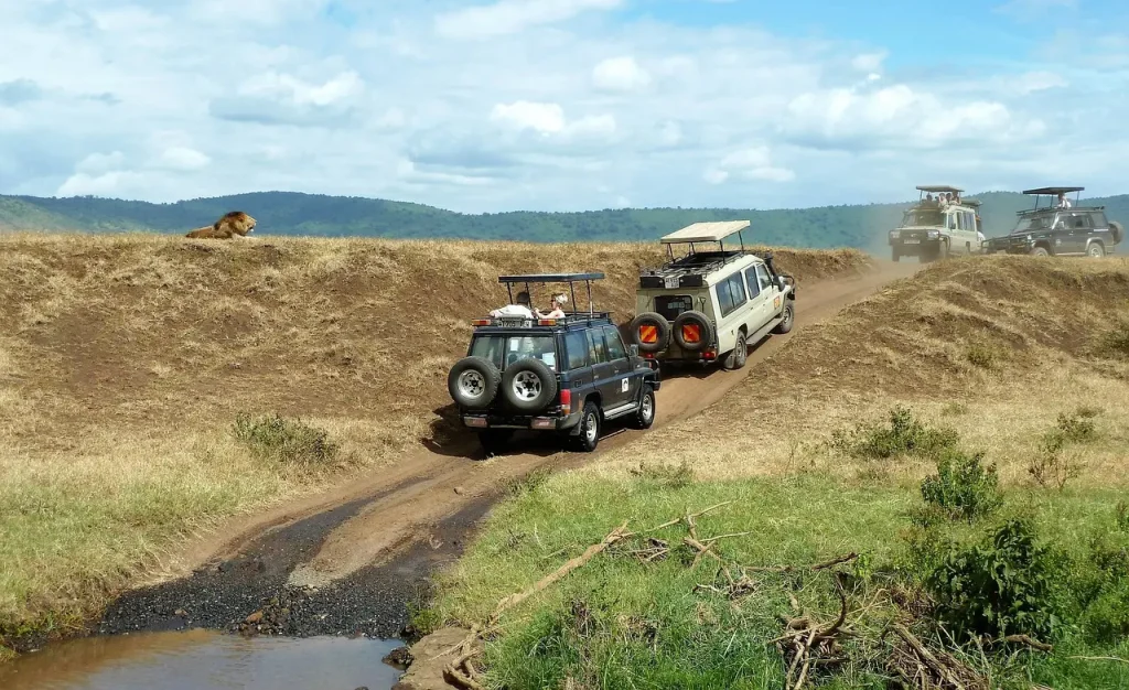 safari safari en tanzanie