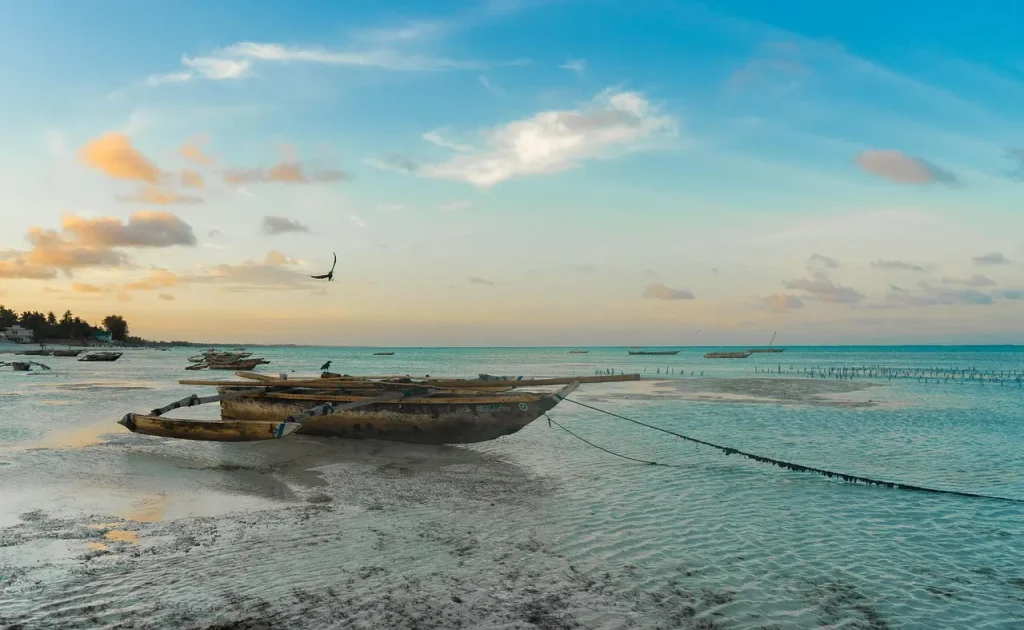 zanzibar beach. beau paysage à zanzibar