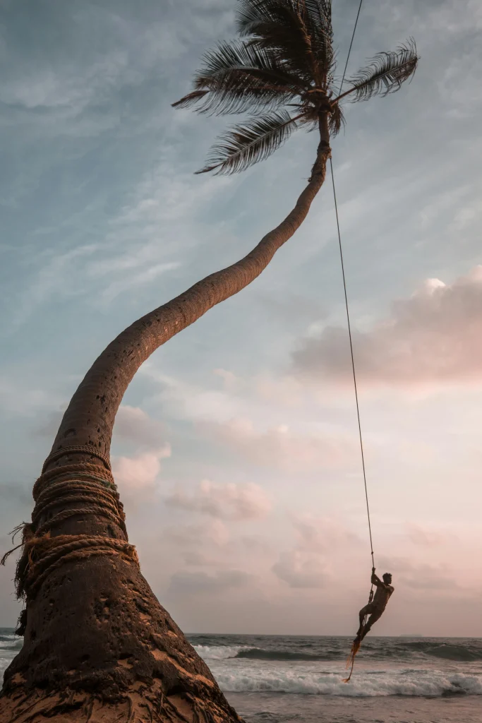 Un homme se balance sur une corde suspendue à un arbre sur la célèbre plage d'Unawatuna au Sri Lanka