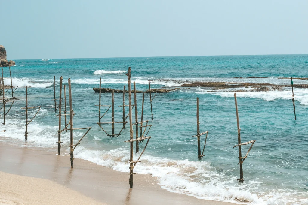 mirissa échasse pecheur La pêche à Mirissa, une des plus belles plages au Sri Lanka