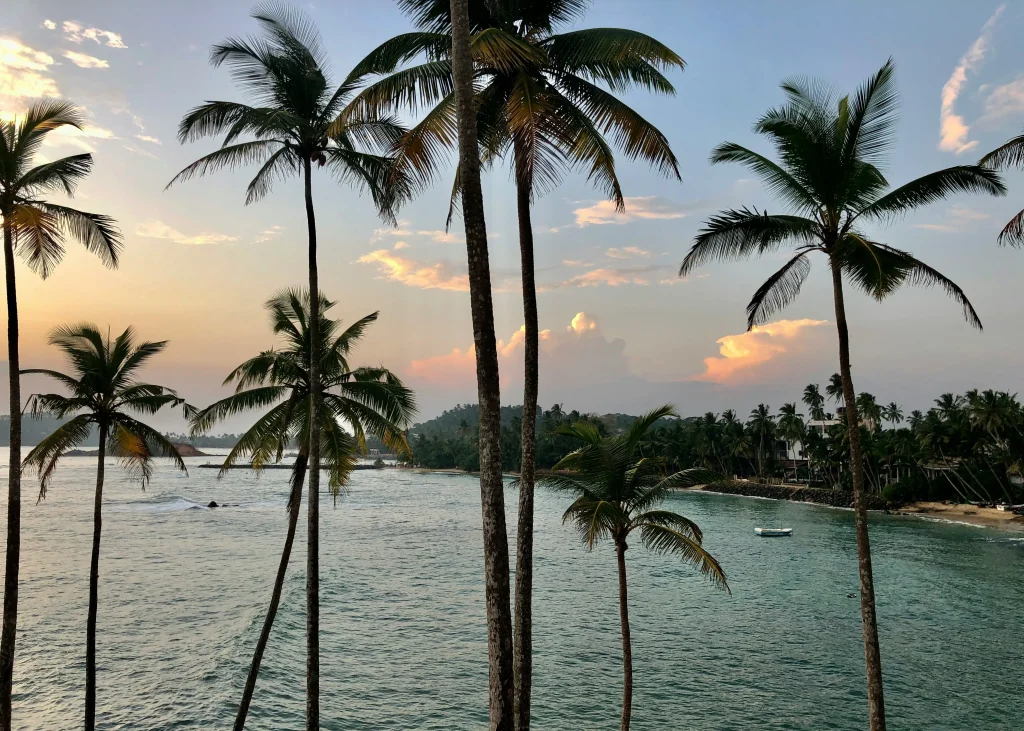 mirissa plage Palmiers devant la mer à Mirissa au Sri Lanka