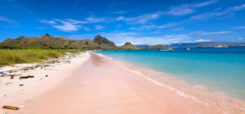 Plage de sable rose à Komodo en Indonésie