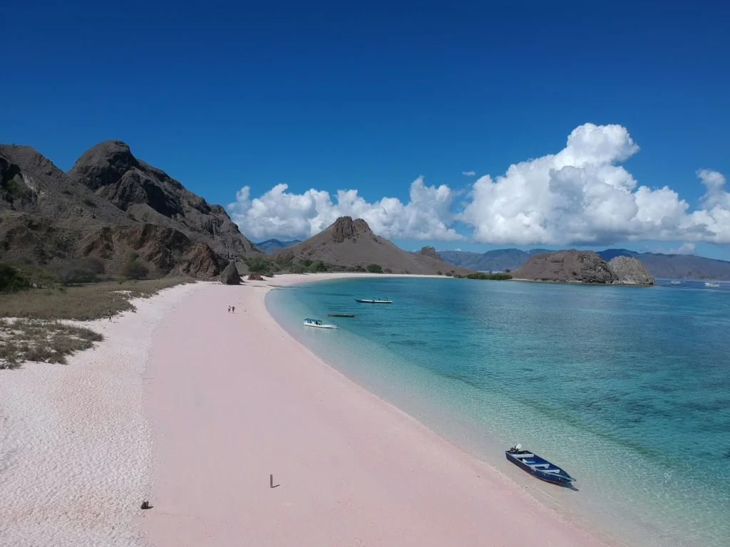 Pink Beach sur l'île de Komodo, l'une des plus belles plages d'Indonesie