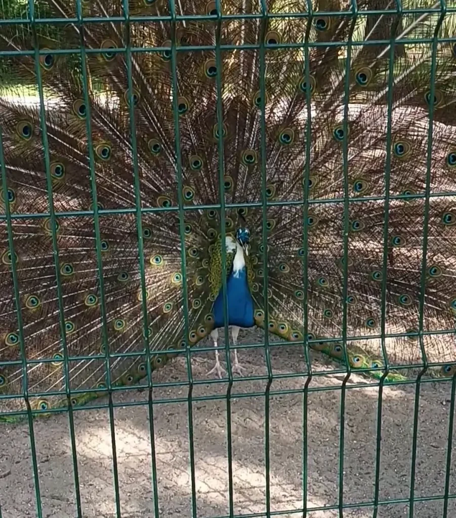 visiter le parc charruyer durant votre séjour à La Rochelle
