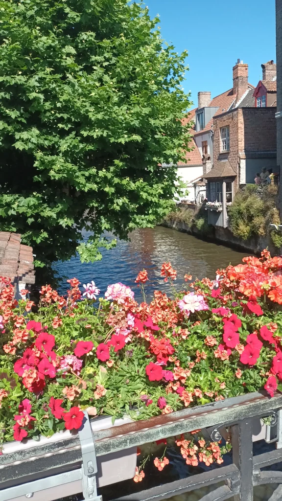 Canaux de Bruges et jolies fleurs