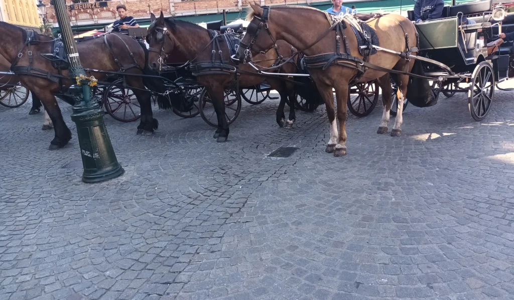 se balader en calèche durant votre week end à Bruges